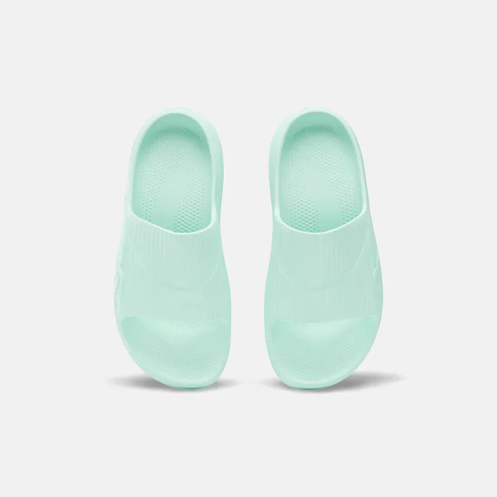 DMX Recovery Slides (4)