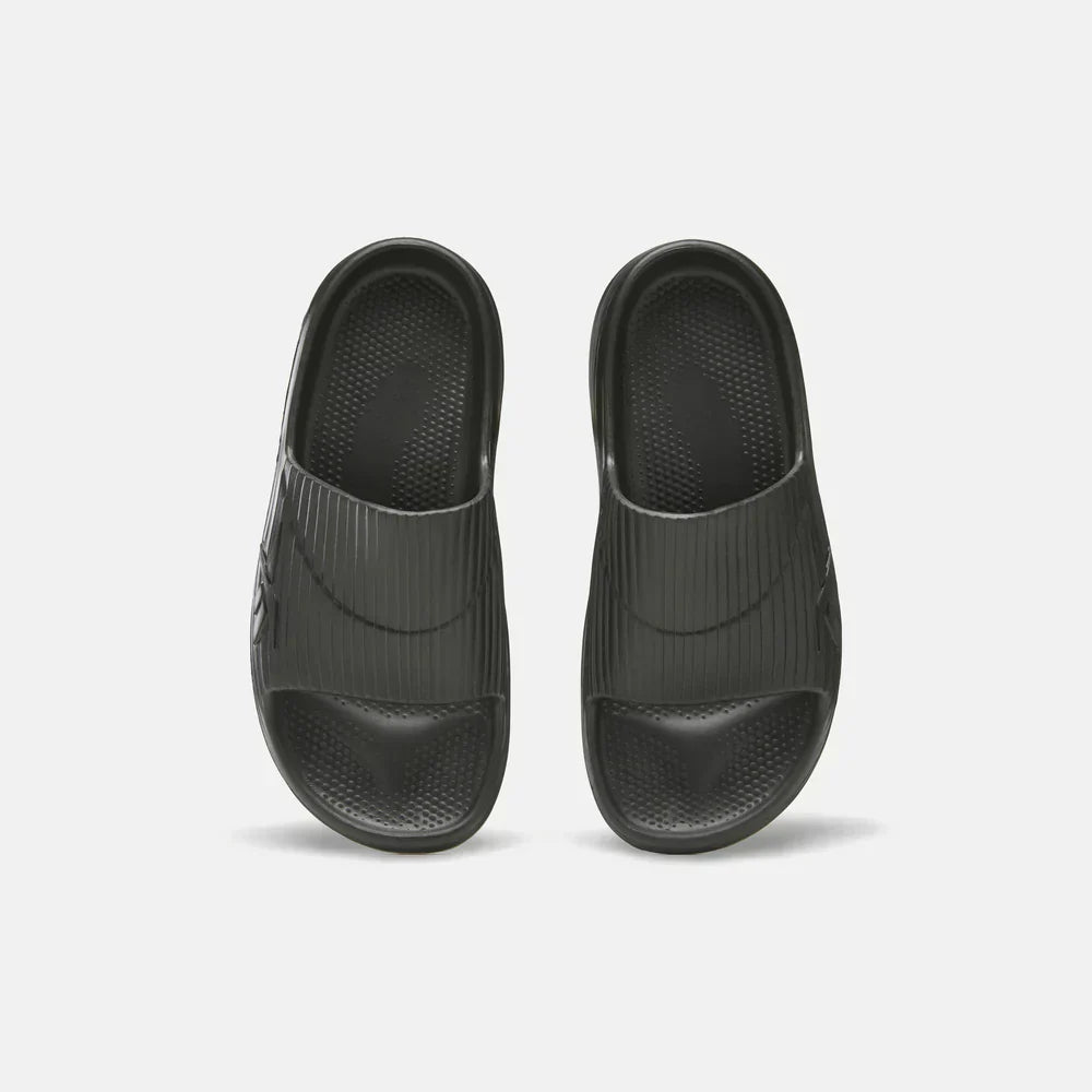 DMX Recovery Slides (4)