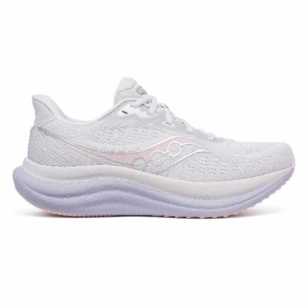 Saucony Triumph 23 Aster Gris