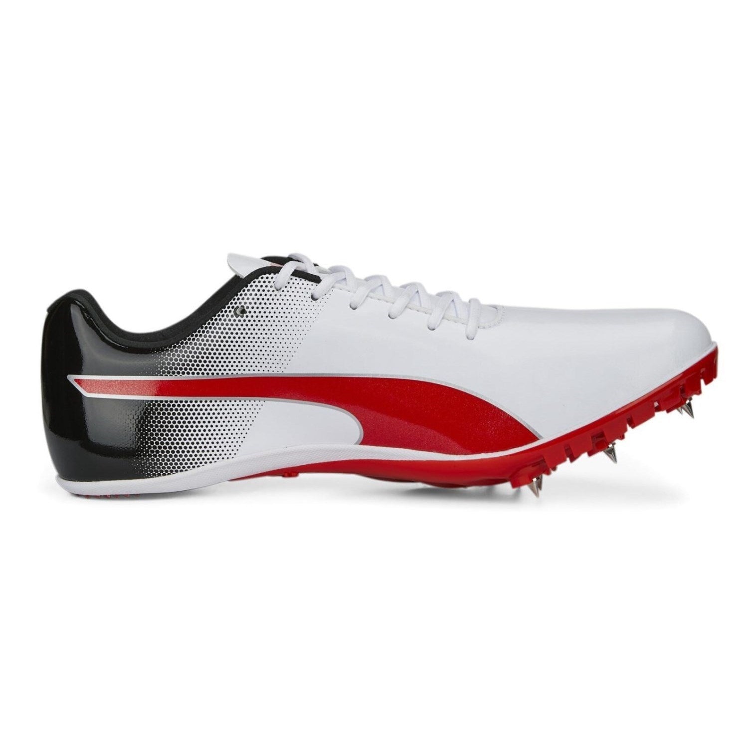 Puma Evospeed Sprint 14 White